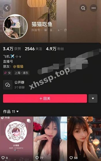 猫猫吃鱼