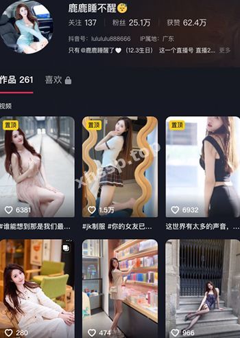 鹿鹿睡不醒