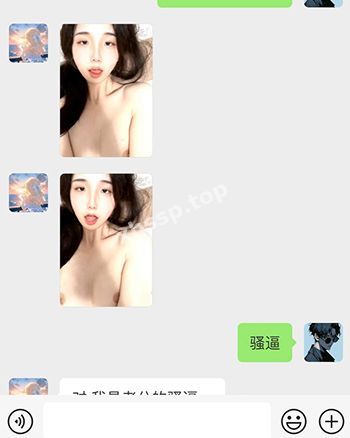 淫照