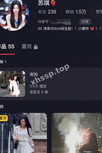 苏琪