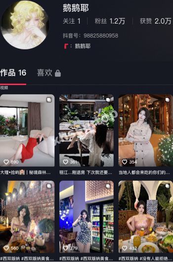 抖音网红