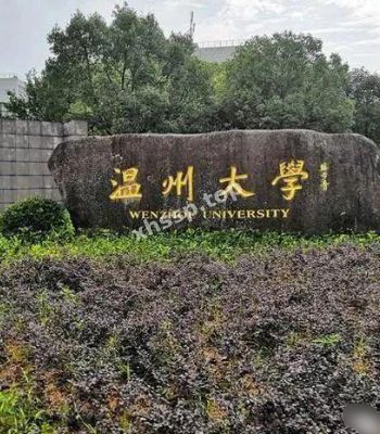 张悦彤