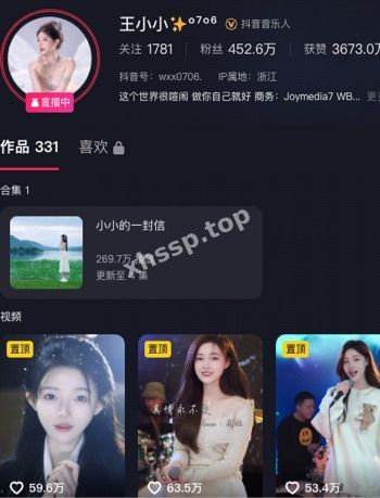 王小小