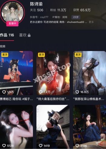 陈诗渝