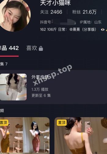 天才小猫咪