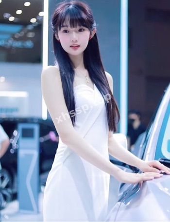 车模