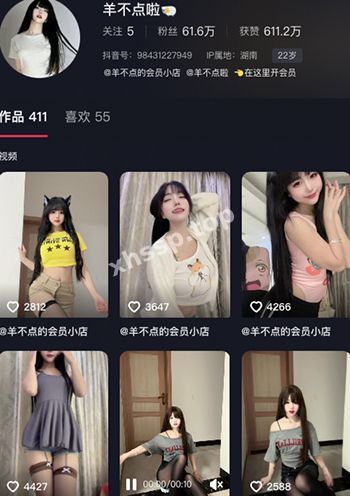羊不点啦