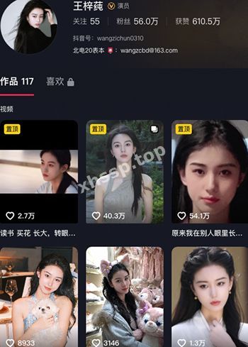 王梓莼