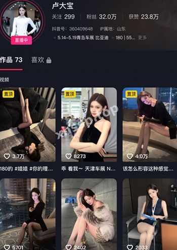 卢大宝