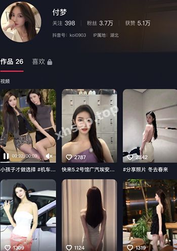 付梦