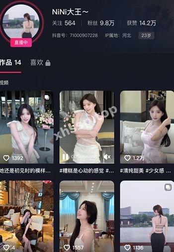 NiNi大王