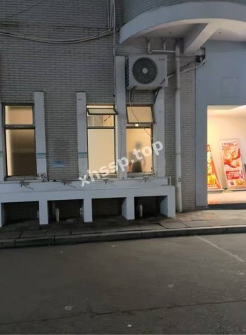 不雅行为