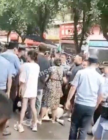 车辆停放