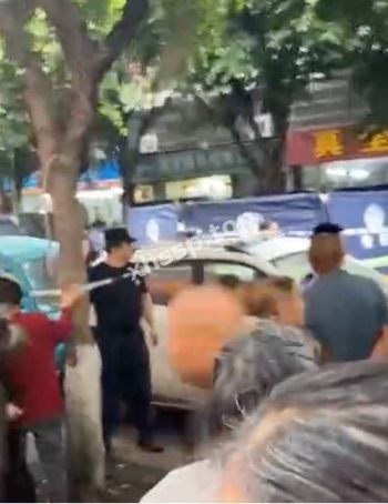 网友热议