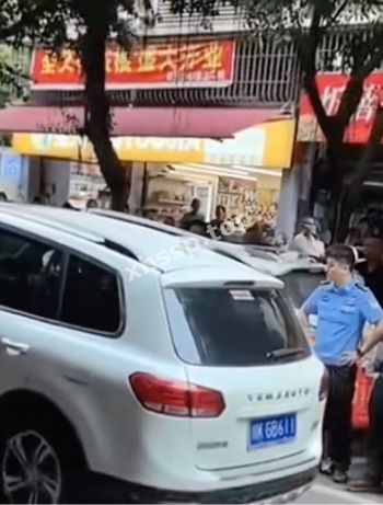 杨某全