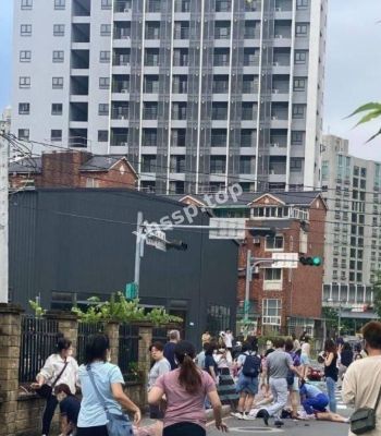 驾车冲撞
