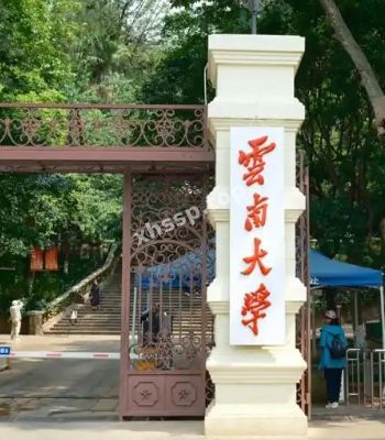 严雨菲