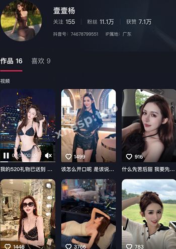壹壹杨