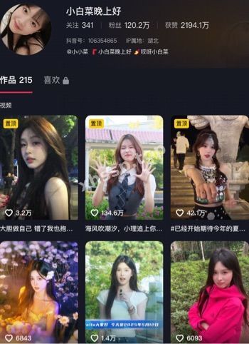 小白菜晚上好