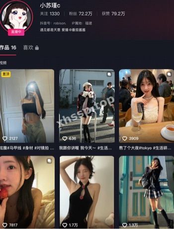 小苏瑾