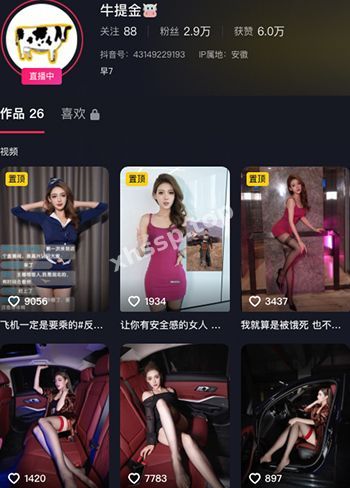 热舞擦边